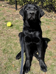 Charlie